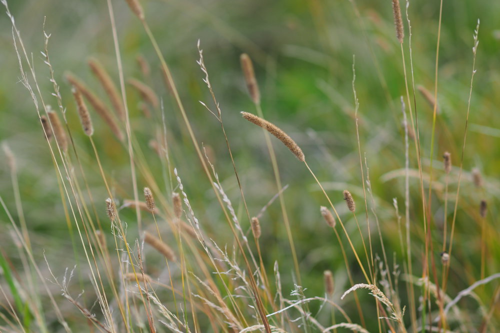 Winter Yoga Retreats are back!