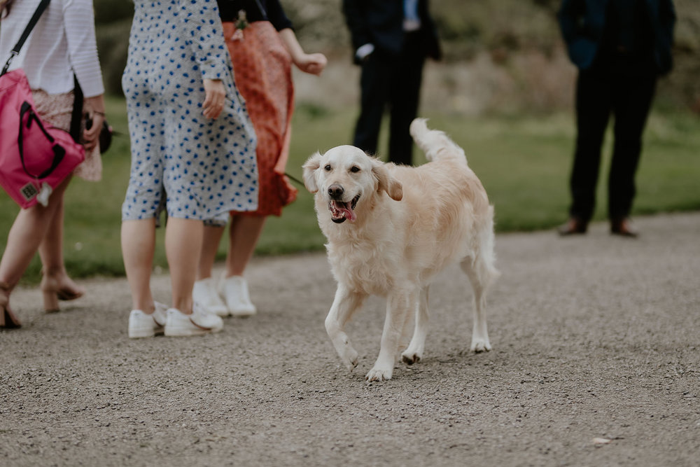 Kensington Photographer